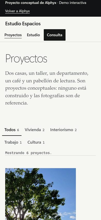 Página Proyectos de Estudio Espacios en la versión 6, en celular: titular ligero «Proyectos», un párrafo en serif, filtros de texto en dos líneas, «Mostrando 6 proyectos.» y el inicio de la fotografía de un árbol.