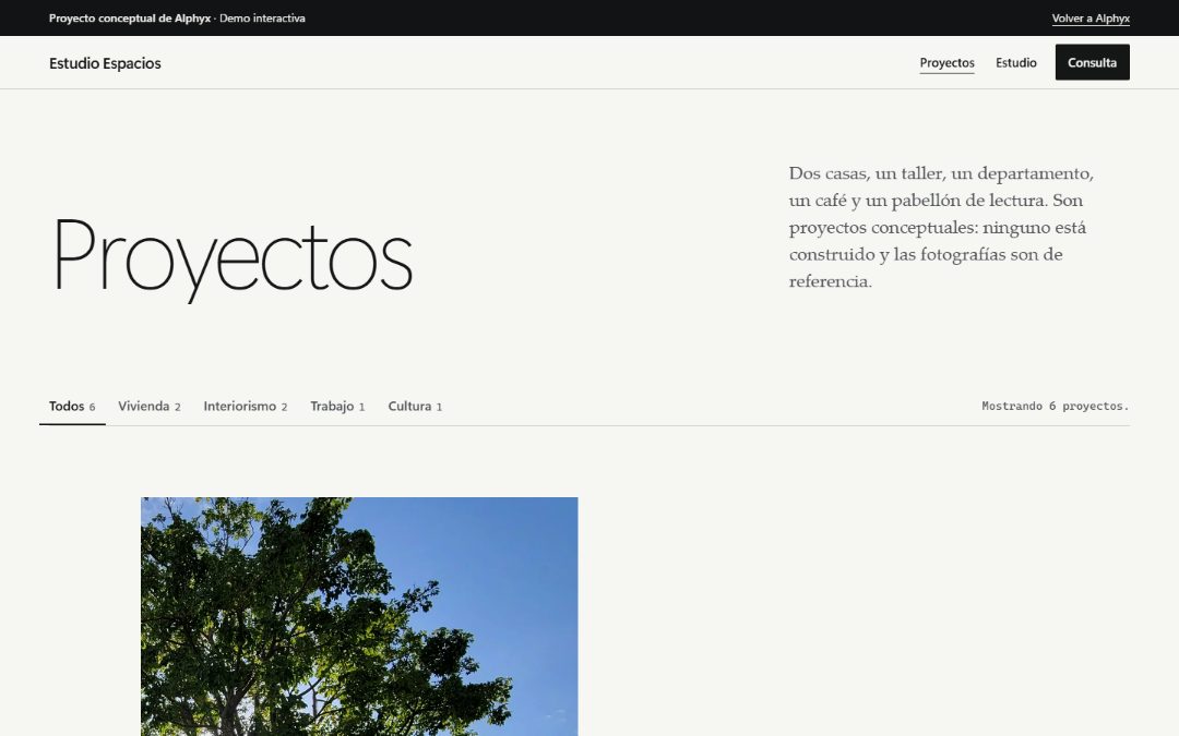 Página Proyectos de Estudio Espacios en la versión 6, en escritorio: titular ligero «Proyectos», un párrafo en serif que aclara que los proyectos son conceptuales y las fotografías de referencia, filtros de texto subrayados sin mayúsculas y el inicio del índice con la fotografía de la copa de un árbol.