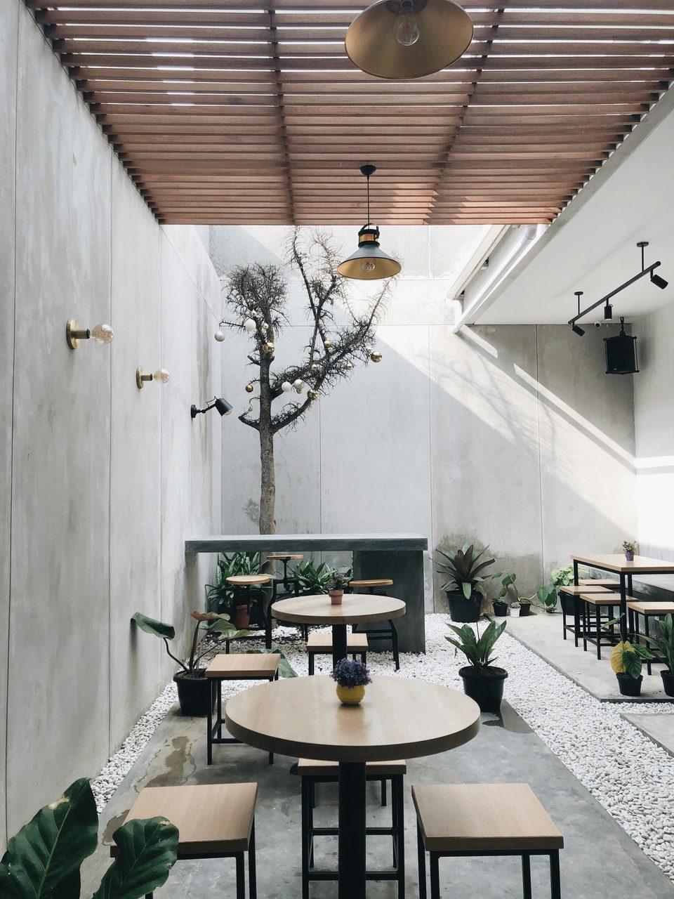 Terraza de café vacía entre muros de concreto, con pérgola de listones de madera, mesas redondas, plantas y un árbol sin hojas.